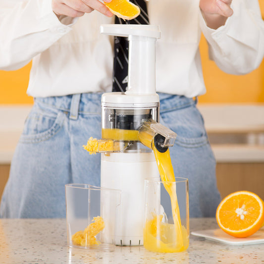 MINI Slag Fruit Juice Separation  Machine